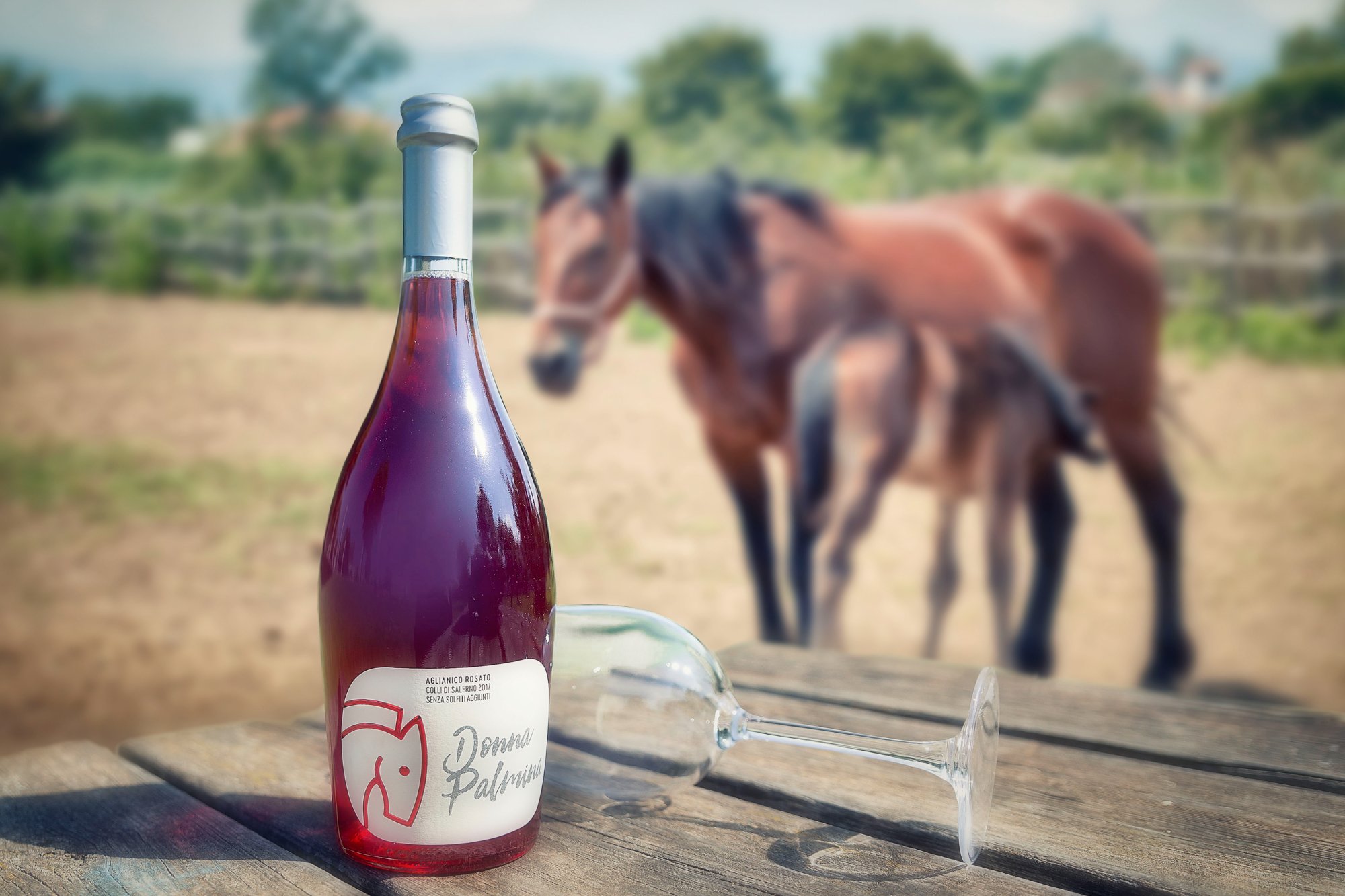 Cavalli Lenza con i Picentini sullo sfondo