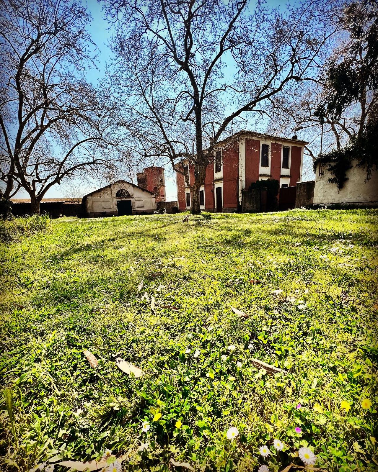 Tenuta Valentinia in primavera