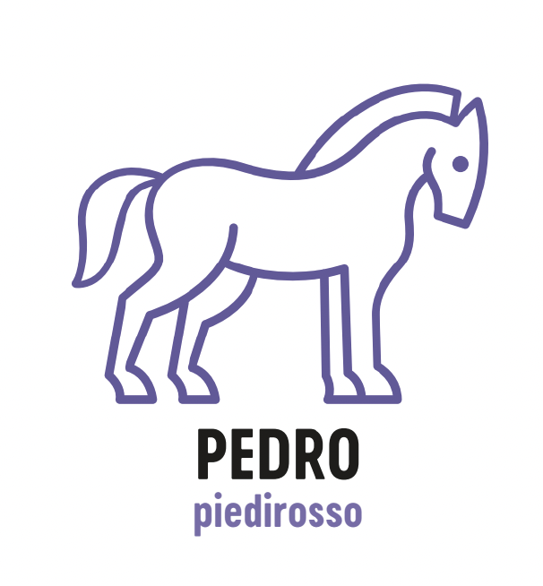Pedro – Piedirosso